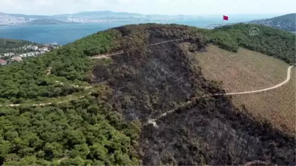 Heybeliada'da yangın nedeniyle zarar gören alan havadan görüntülendi