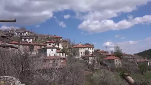 Attouda Antik Kenti'nde yüzey araştırmaları başladı