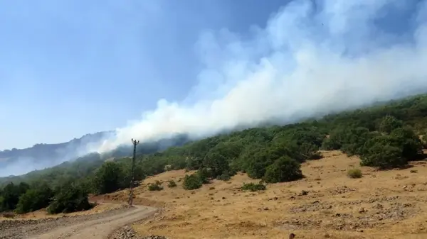 Son dakika haberi... Bingöl'deki orman yangına 100 kişilik ekip müdahale ediyor