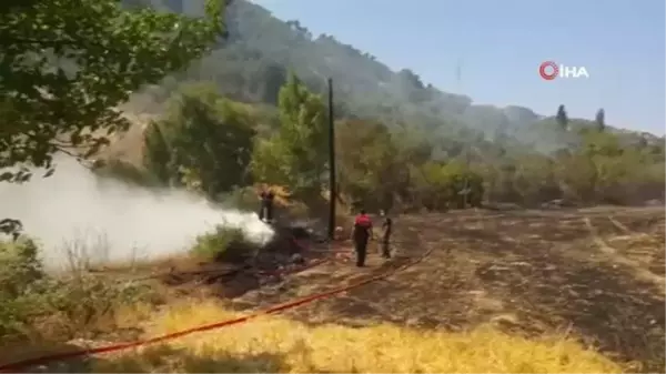 Söke'de yangın...10 dönüm zirai alan zarar gördü