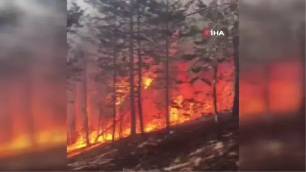 Son dakika haber! Sarıkamış Ormanları'nda korkutan yangın: Ekiplerin müdahalesi sürüyor