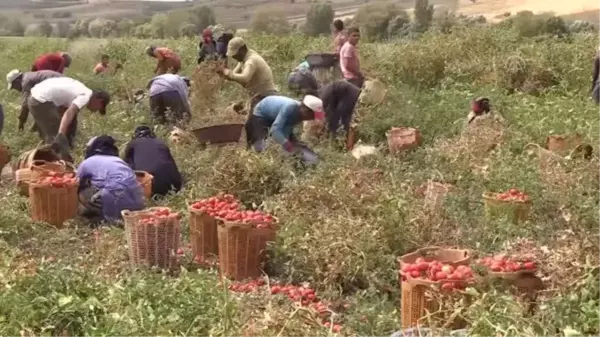 Türkiye'nin 