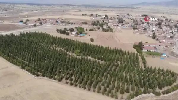 Arabasını satarak büyüttüğü orman mahallesine nefes oluyor