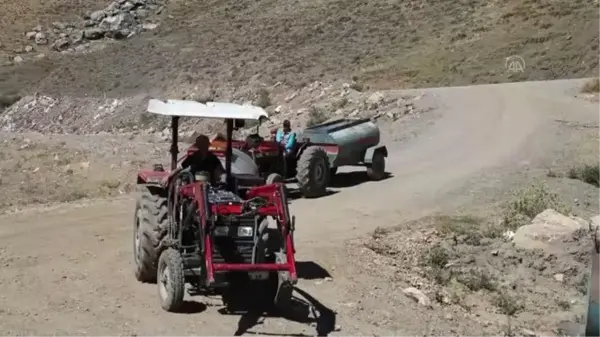 Çubuk'ta kuraklıktan etkilenen üreticiler tankerlerle su taşıyarak sebze bahçelerini suluyor