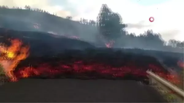 La Palma Yanardağı 100'den fazla evi yok etti