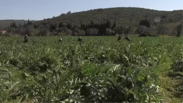 Urla'daki kadın kooperatifi ilk ihracatını yaptı