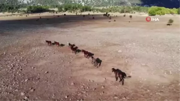 Yangından etkilenen Antalya'nın vahşi güzelliği 