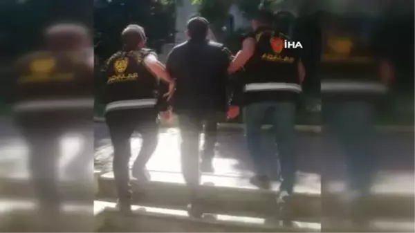 Büyükada'da evinin bahçesinde uyuşturucu yetiştirip satan şahıs yakalandı