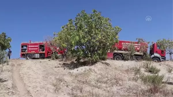 Son dakika haberi: Ormanlık alanda başlayıp zeytin bahçesine sıçrayan yangın söndürüldü