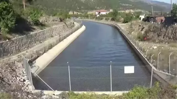 Son dakika haber! Yeşilırmak'ta balık ölümleri görüldü