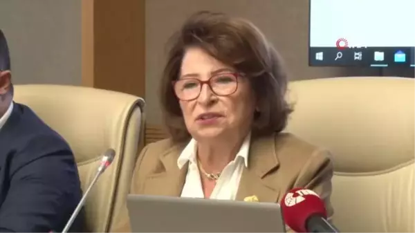 Psikiyatrist Gülseren Budayıcıoğlu 'Kadına Şiddet Komisyonu'nda milletvekillerine bilgi verdi