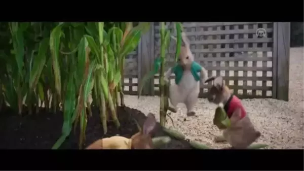 Sinema - Peter Rabbit: Kaçak Tavşan