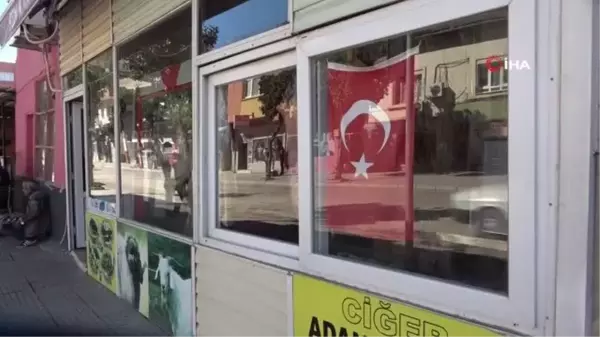 Dükkanındaki asırlık çam ağacına gözü gibi bakıyor