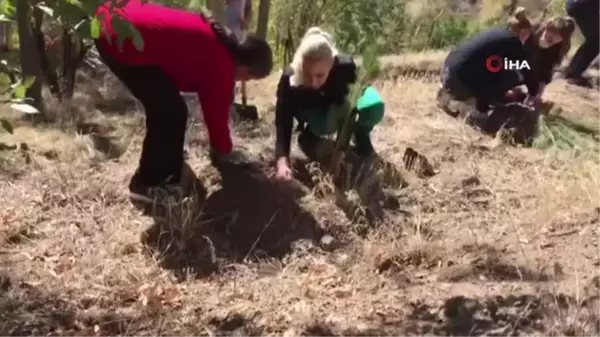 Tunceli'de Tenzile Erdoğan anısına fidan dikimi gerçekleştirildi