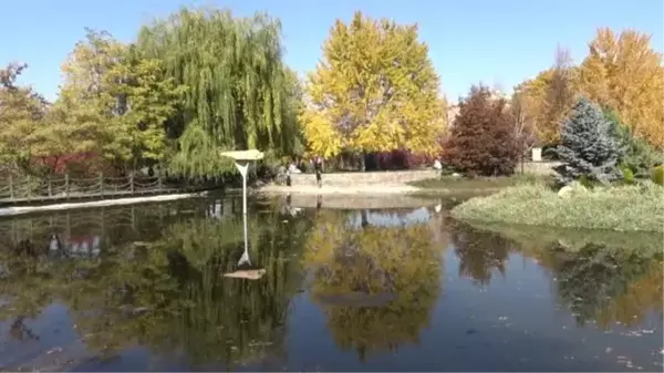 Erzurum sonbahar renklerine büründü