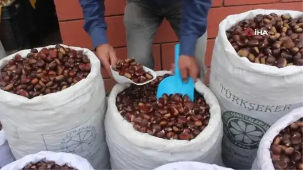 Kestane ve mantar bolluğu yüzleri güldürdü