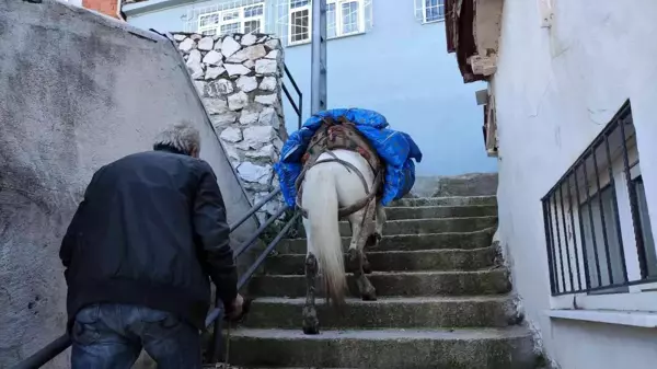 Araçların giremediği mahalleye atıyla yük servisi yapıyor! Ton başına 150 lira kazanıyor