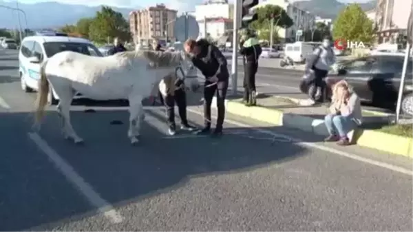 Ata çarpan kadın gözyaşlarına boğuldu