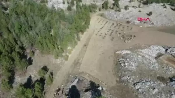 KAYBOLAN SÜRÜ DRON İLE BULUNDU