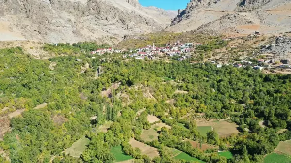 DİYARBAKIR - Akdeniz iklimine sahip Geçit köyünde nar hasadı telaşı