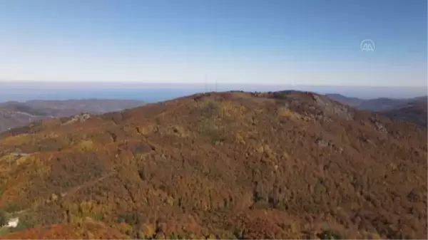 KASTAMONU - (DRONE) Küre Dağları'nda sonbahar güzelliği