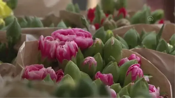 Türkiye, botanik EXPO'lara hazırlanıyor