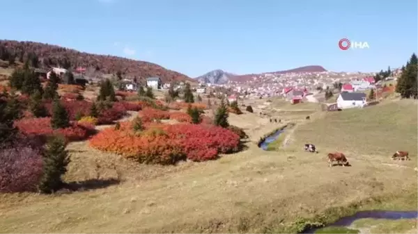 Sis Dağı'ndan mest eden sonbahar manzaraları