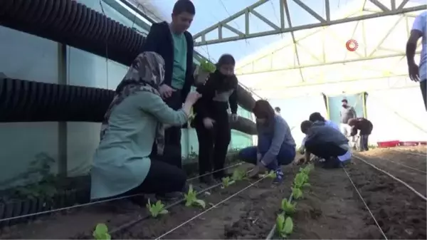 Kışlık sebzeler özel öğrencilerden