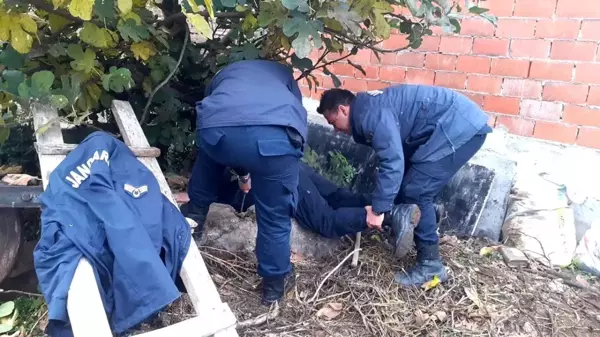 Kuyuya düşen köpeği jandarma kurtardı