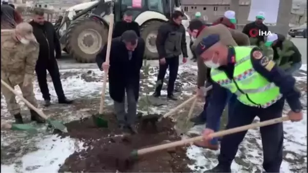 2 bin 300 rakım, eksi 10 derece soğukta fidan diktiler