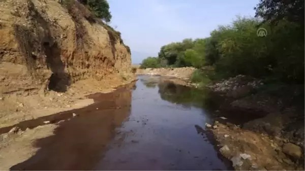 BALIKESİR - Zeytinin kara suyu ve pirinasının ekonomiye kazandırılması önerisi