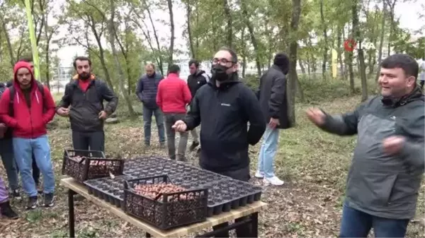 OMÜ Kurupelit Kampüsü'nde meşe palamutları toprakla buluştu