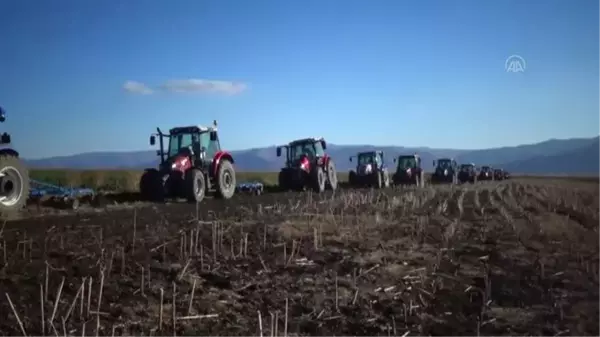 1 milyon 200 bin dekar alana buğday ve arpa ekimi yapılacak