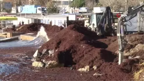 Caddebostan Sahili kızıla büründü