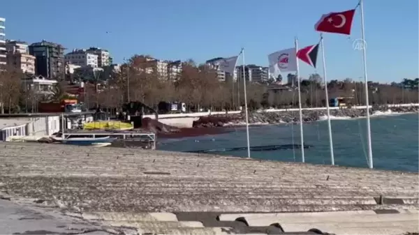 Fırtınanın ardından Caddebostan sahilini kaplayan kırmızı yosunlar toplanıyor