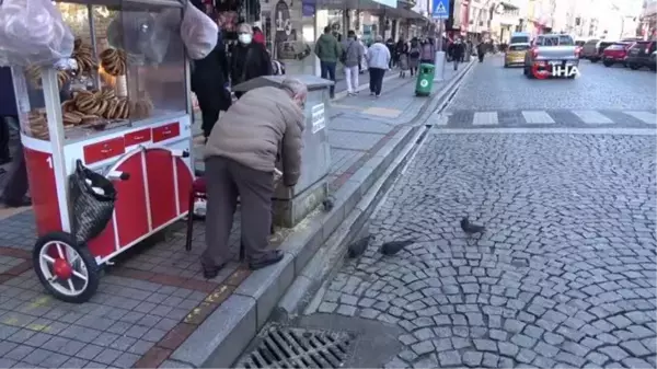 Rize'nin 'Güvercin babası' 13 yıldır kuşları elleriyle besliyor