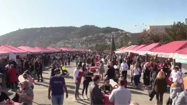 11. Uluslararası Alanya Yeni Yıl Pazarı