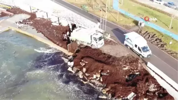 Caddebostan Sahilini yine kaplayan kırmızı yosunlar havadan görüntülendi