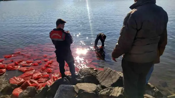 İzmir'de kaçak su ürünleri avcılığı yapan kişi suçüstü yakalandı