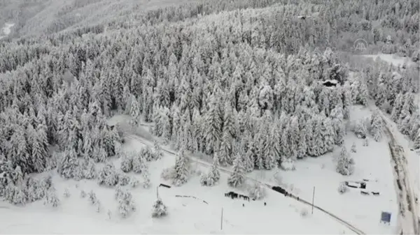 Artvin'in turizm merkezi Kafkasör Yaylası beyaz örtüyle kaplandı