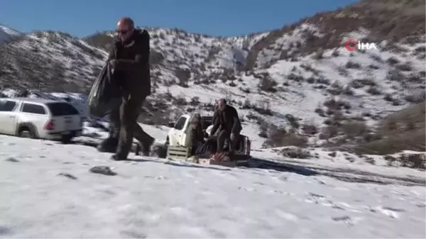 Şırnak'ta yaban hayvanları için yem bırakıldı