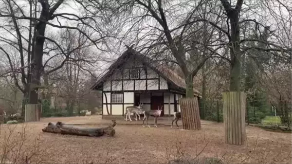 Berlin'de hayvanat bahçesi sakinlerine, Noel yemeği