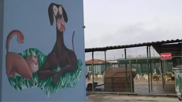 Yasaklı ırk köpek denetimleri artırılacak