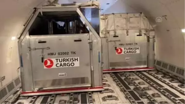 Turkish Cargo, 63 atı ABD'den Türkiye'ye güvenle taşıdı