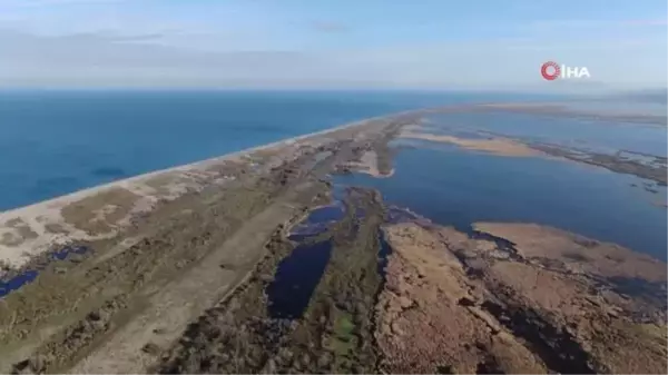 Karacabey longoz ormanları suyla buluşmaya başladı