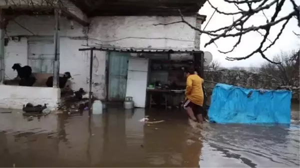 Şiddetli yağış nedeniyle mahsur kalan hayvanlar kurtarıldı