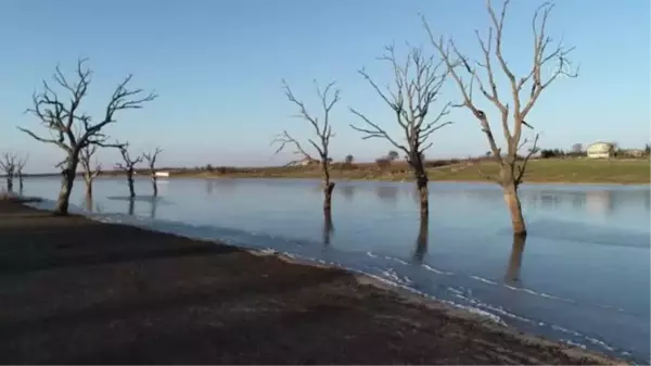 KIRKLARELİ - Trakya'da soğuk hava etkili oluyor