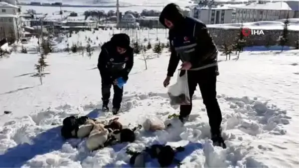 Son dakika: Elazığ polisi sokak hayvanlarını unutmadı