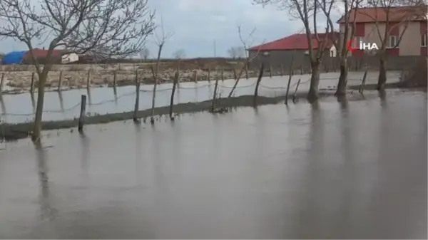 Bafra Ovası'nda kanal taştı, tarım arazileri ve ahırlar su altında kaldı