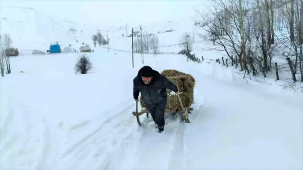 Bingöl'de besicilerin çetin kış şartlarına rağmen zorlu mesaisi sürüyor